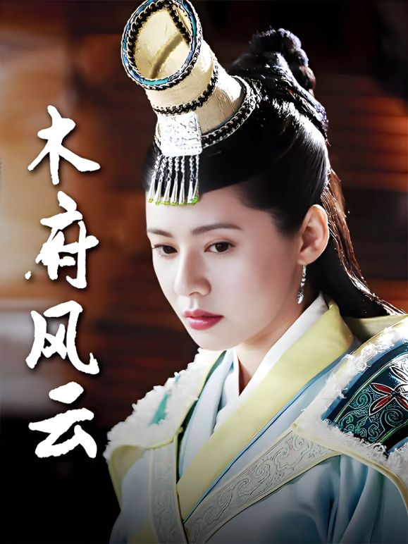 木府风云手机电影