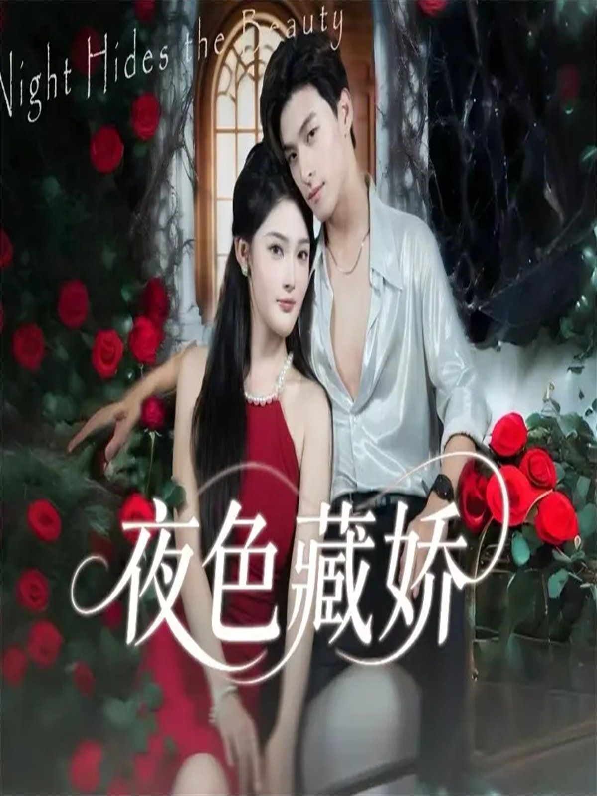 夜色藏娇手机电影