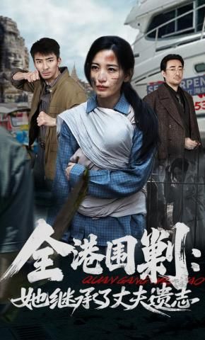 全港围剿：她继承了丈夫遗志手机电影