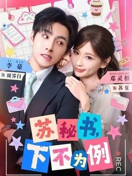 苏秘书，下不为例手机电影