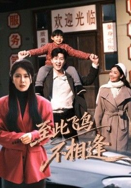 至此飞鸟不相逢手机电影