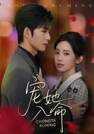 宠她入命手机电影