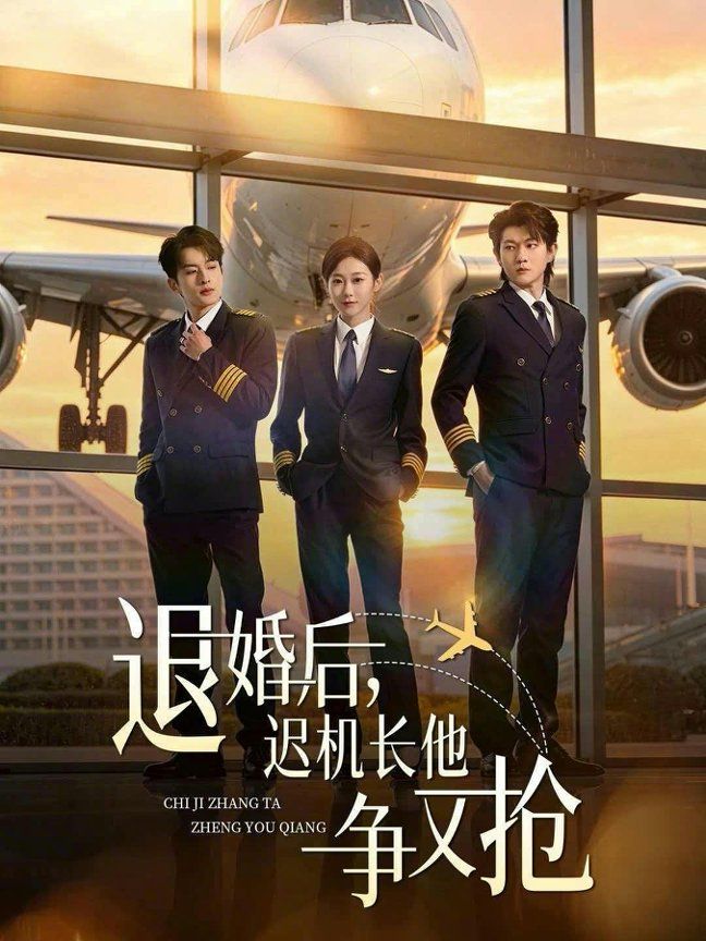 退婚后，迟机长他争又抢手机电影