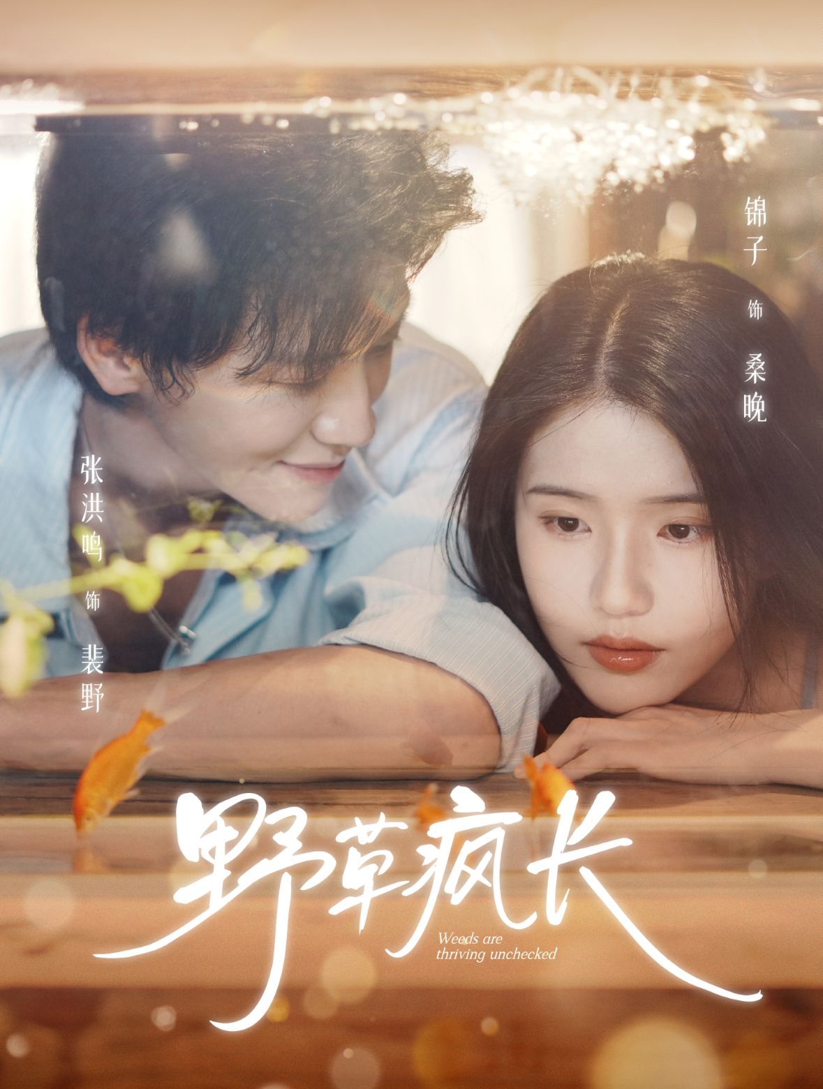 野草疯长手机电影