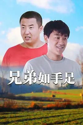 兄弟如手足手机电影