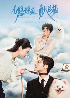 心愿速递之萌犬总裁手机电影