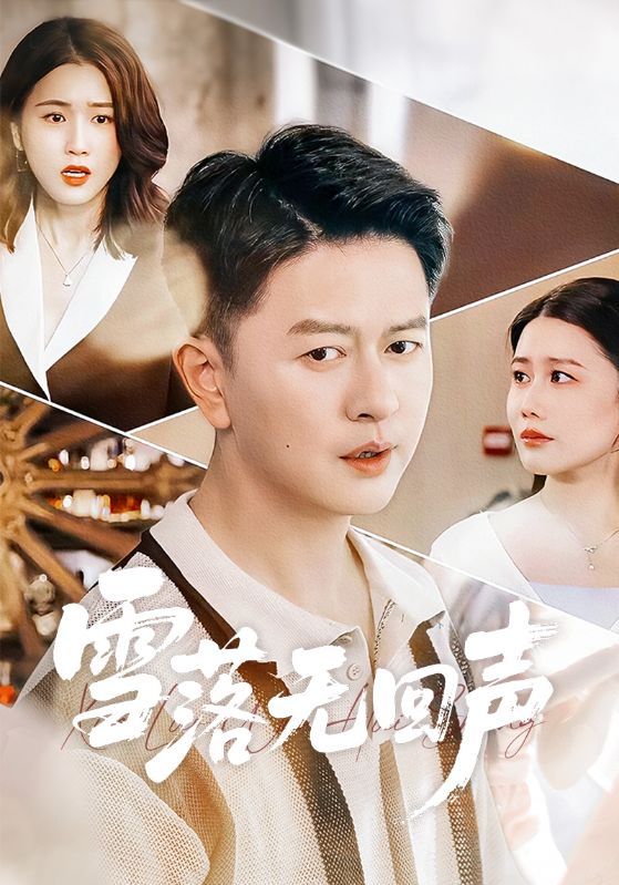 雪落无回声手机电影