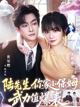 陆先生，你家小保姆武力值爆表手机电影