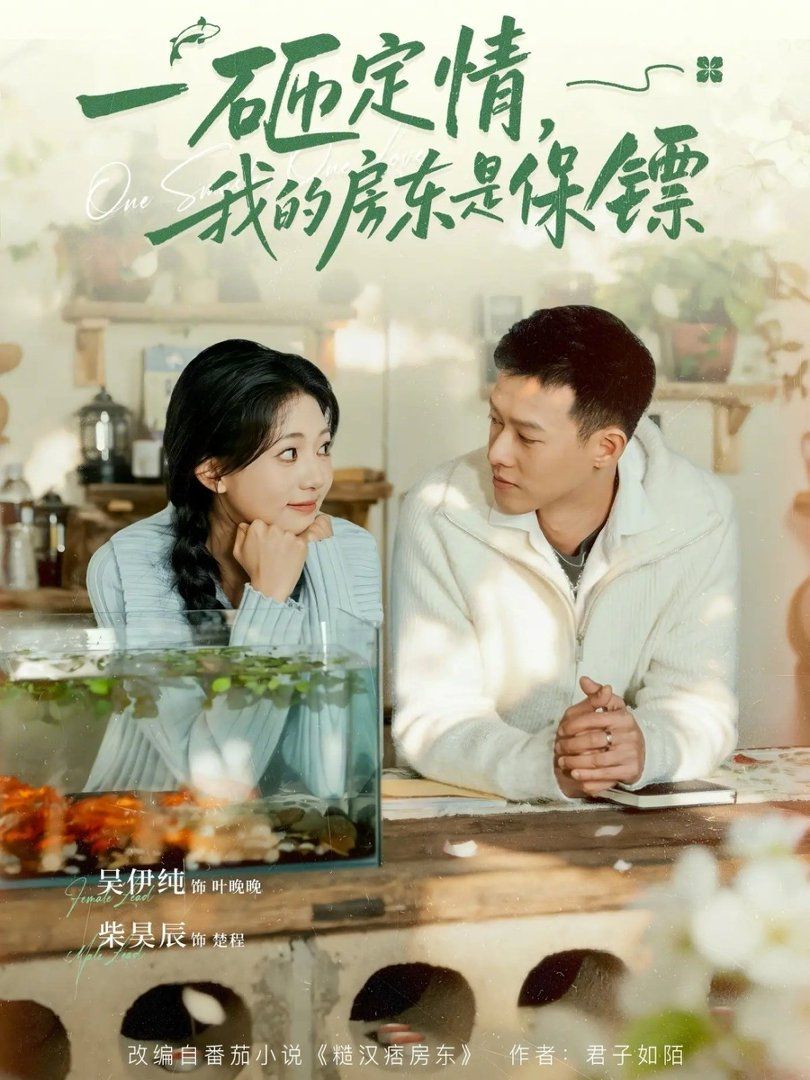 一砸定情，我的房东是保镖手机电影