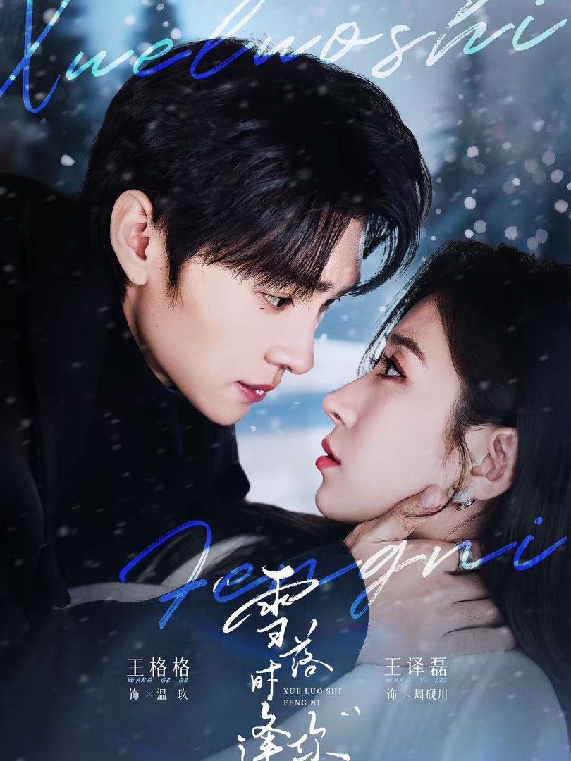 雪落时逢你手机电影