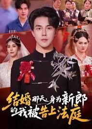结婚那天，身为新郎的我被告上法庭手机电影