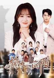 楠木向阳手机电影