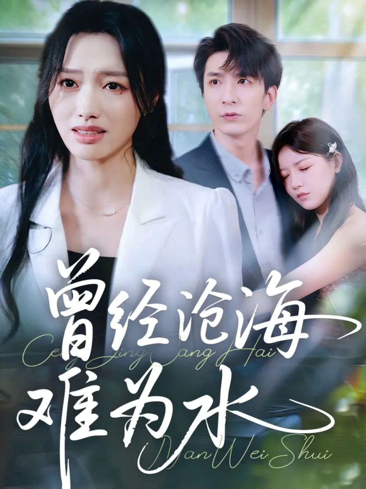 新曾经沧海难为水手机电影