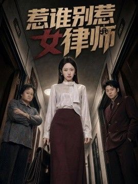 惹谁别惹女律师手机电影