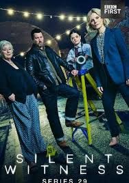 无声的证言第二十九季手机电影