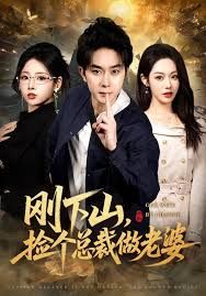 刚下山捡个总裁做老婆手机电影