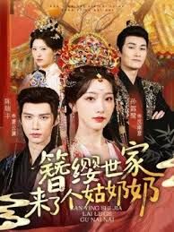 簪缨世家来了个姑奶奶手机电影