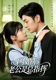 闪婚后老公是总指挥手机电影