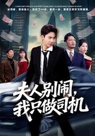 夫人别闹我只做司机手机电影