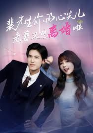 裴先生你的心尖儿老婆又想离婚啦，裴先生的复婚攻略手机电影