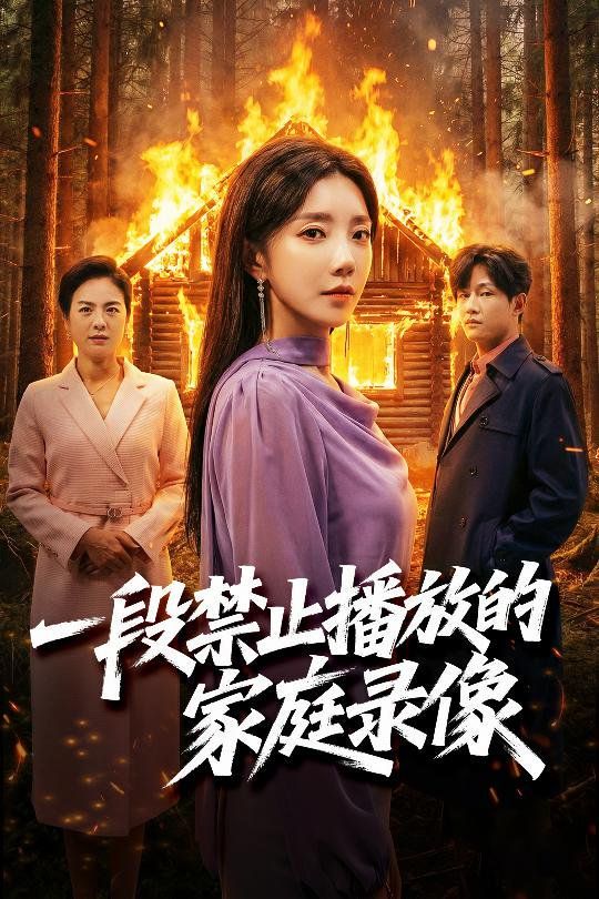 一段禁止播放的家庭录像手机电影