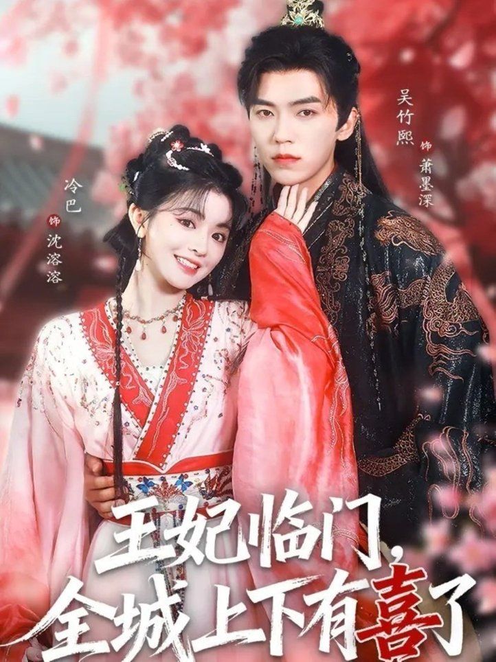 王妃临门全城上下有喜了手机电影