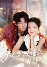 夫人她略懂些拳脚手机电影