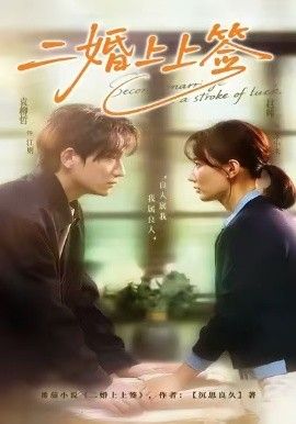 二婚上上签手机电影