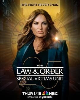 法律与秩序：特殊受害者 第二十五季