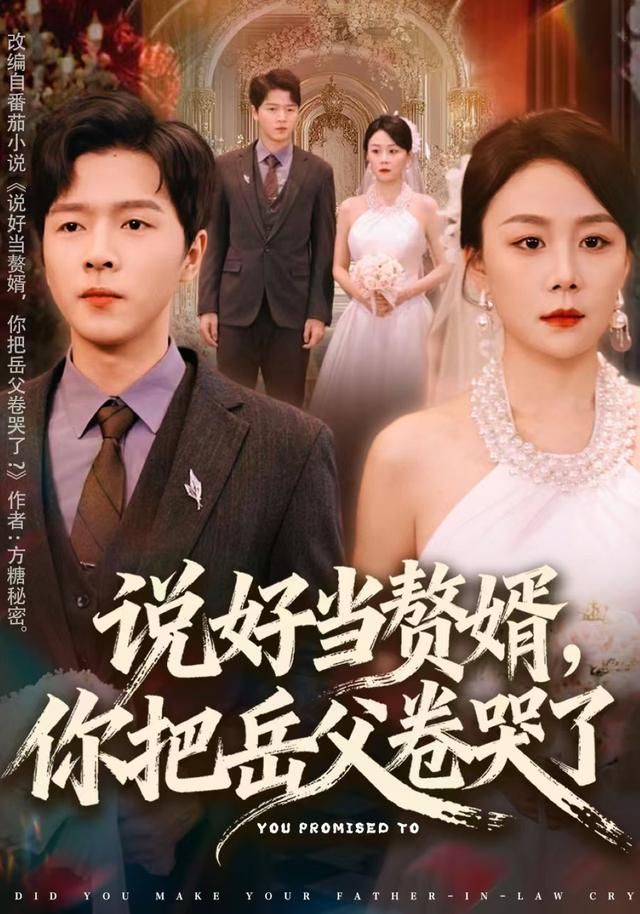 说好当赘婿，你把岳父卷哭了手机电影