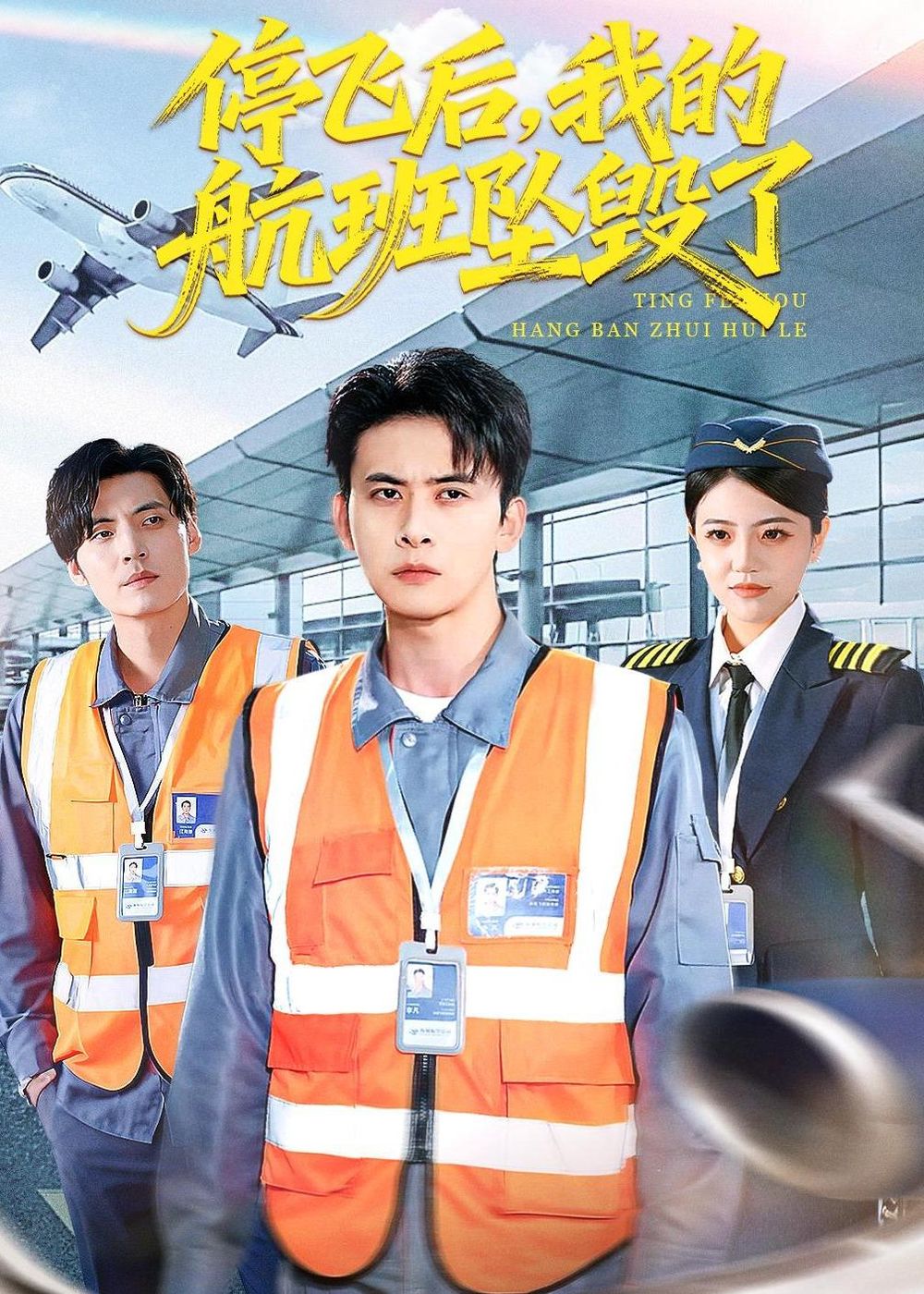 停飞后，我的航班坠毁了手机电影