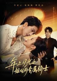 年上月光之姐姐的专属骑士手机电影