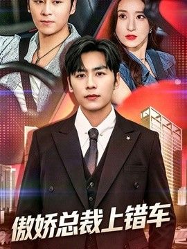 傲娇总裁上错车手机电影