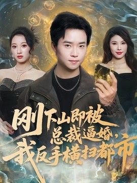 刚下山即被总裁逼婚，我反手横扫都市手机电影