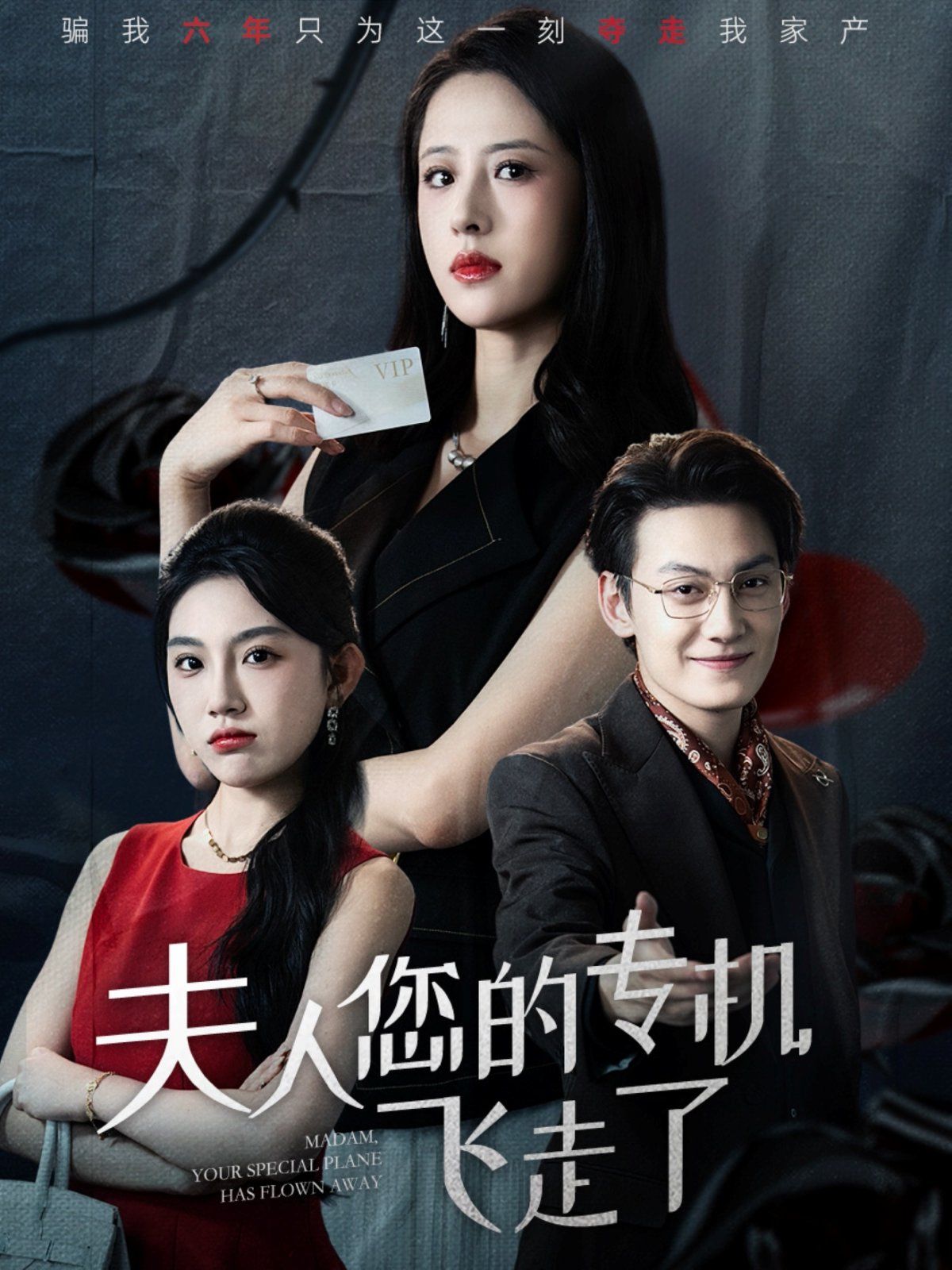 夫人您的专机飞走了手机电影