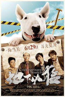 2018剧情片《地下凶猛》迅雷下载_中文完整版_百度云网盘720P|1080P资源