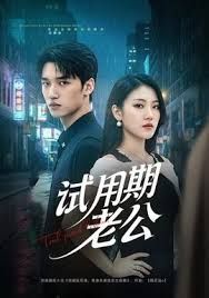 试用期老公手机电影