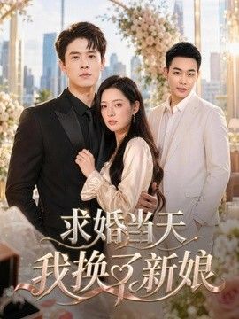求婚当天我换了新娘手机电影