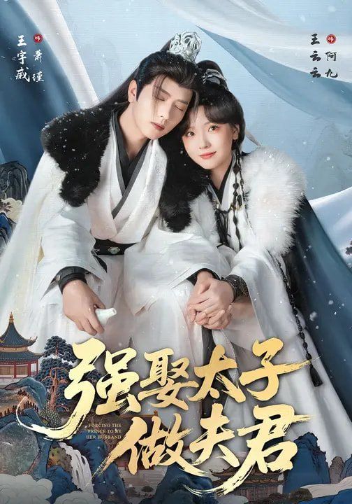 强娶太子做夫君手机电影