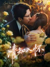 清知入怀手机电影