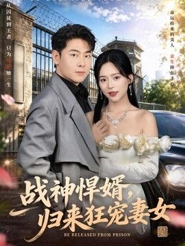 战神悍婿，归来狂宠妻女手机电影