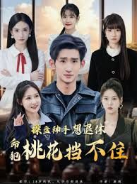 操盘神手想退休，命犯桃花挡不住手机电影