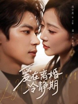 爱在离婚冷静期手机电影