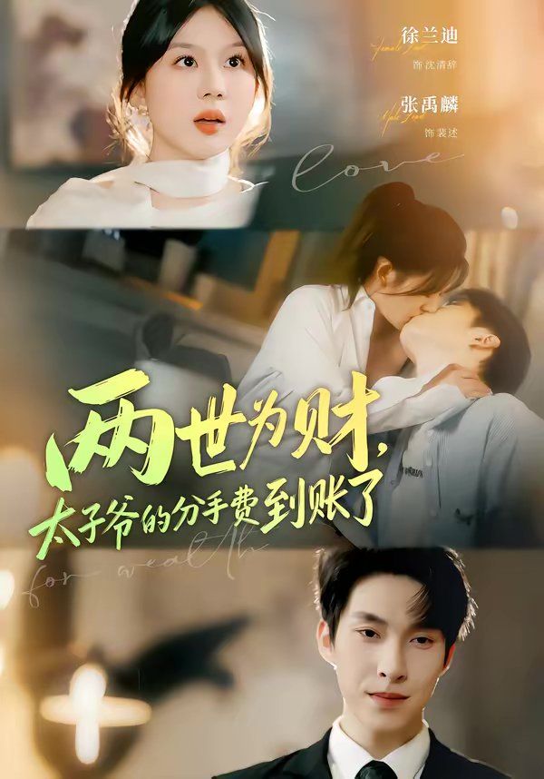 两世为财，太子爷的分手费到账了手机电影