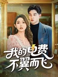 我的电费不翼而飞手机电影