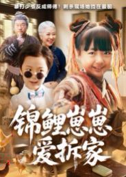 锦鲤崽崽爱拆家手机电影