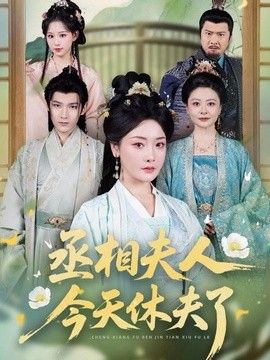 丞相夫人，今天休夫了手机电影