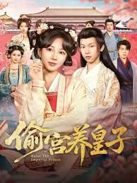 偷宫养皇子手机电影