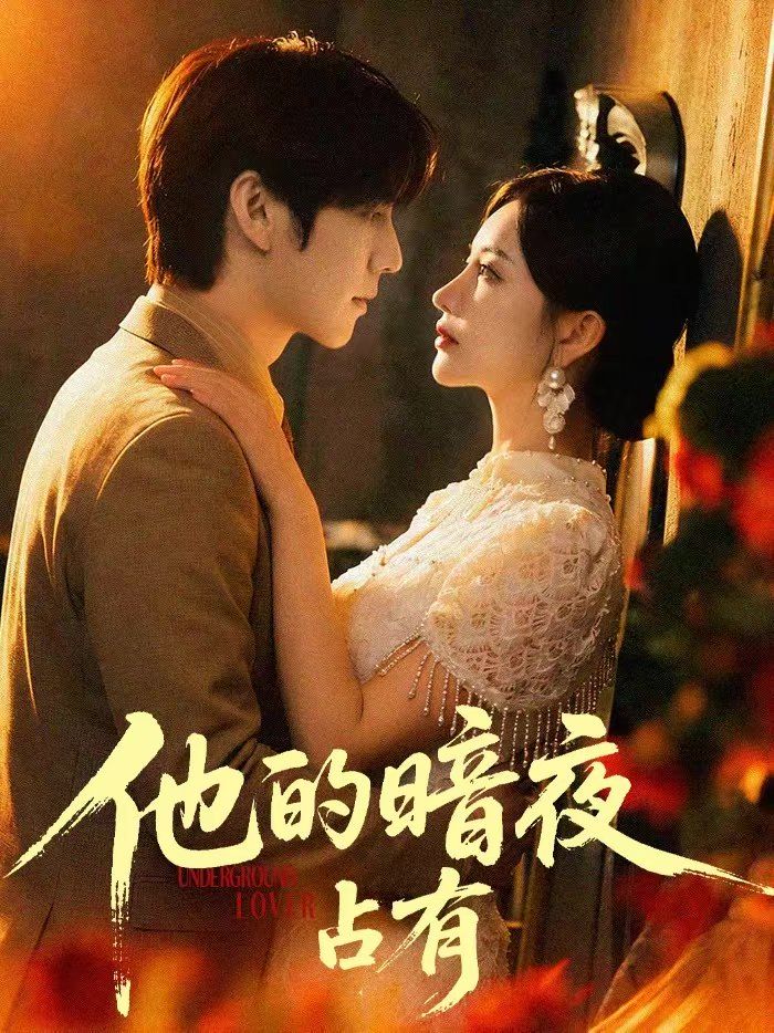 他的暗夜占有手机电影