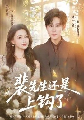 裴先生还是上钩了手机电影